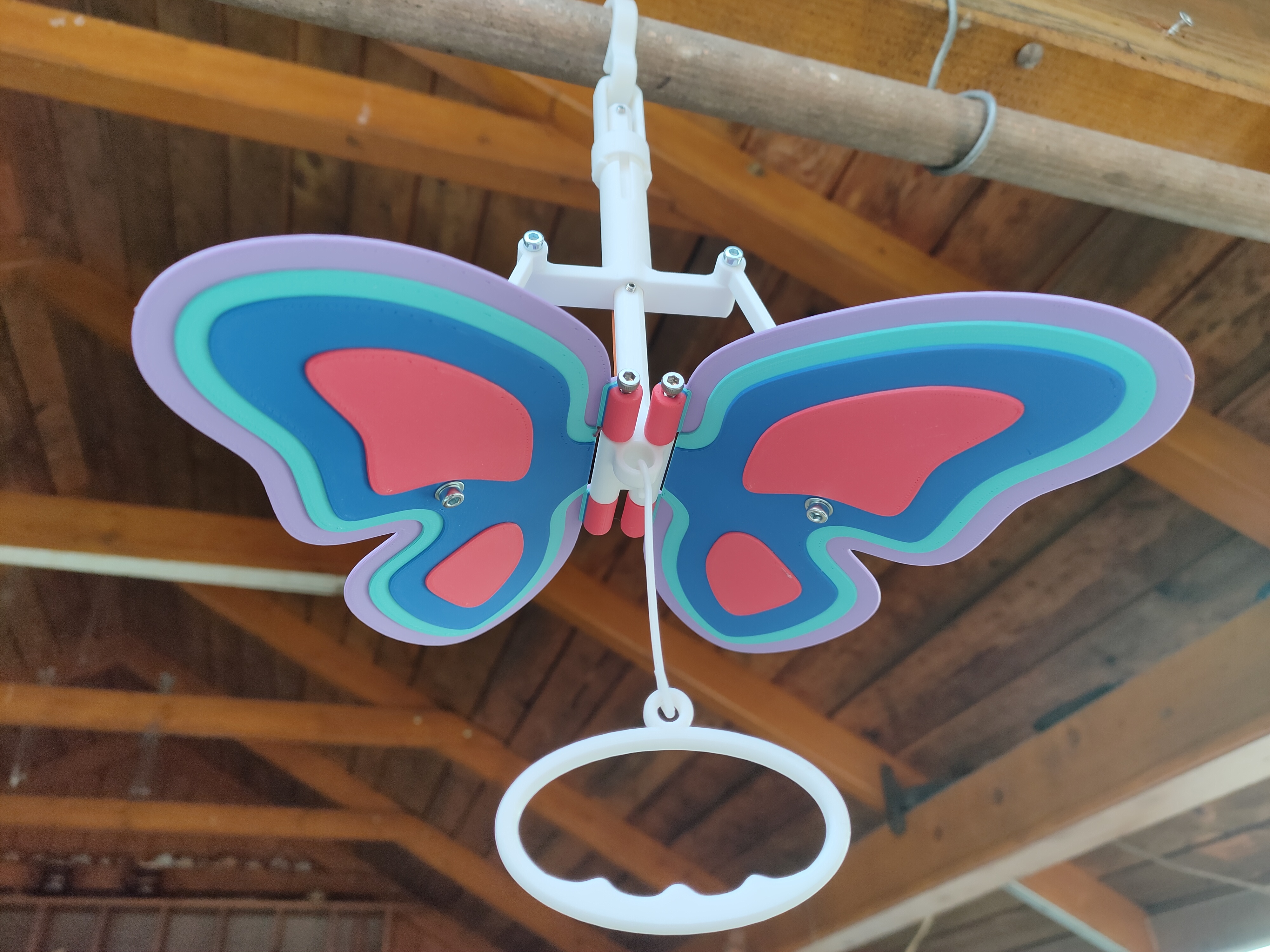 Big flying butterfly