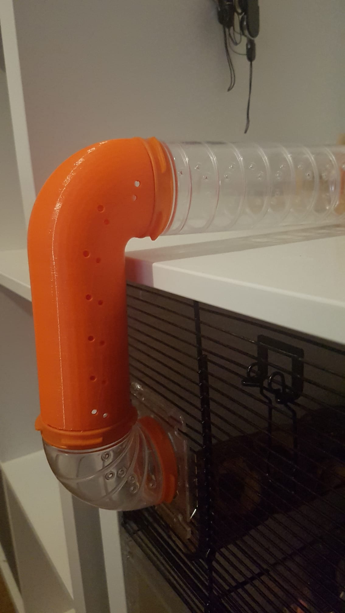 Hamster clogging hot sale tubes with bedding