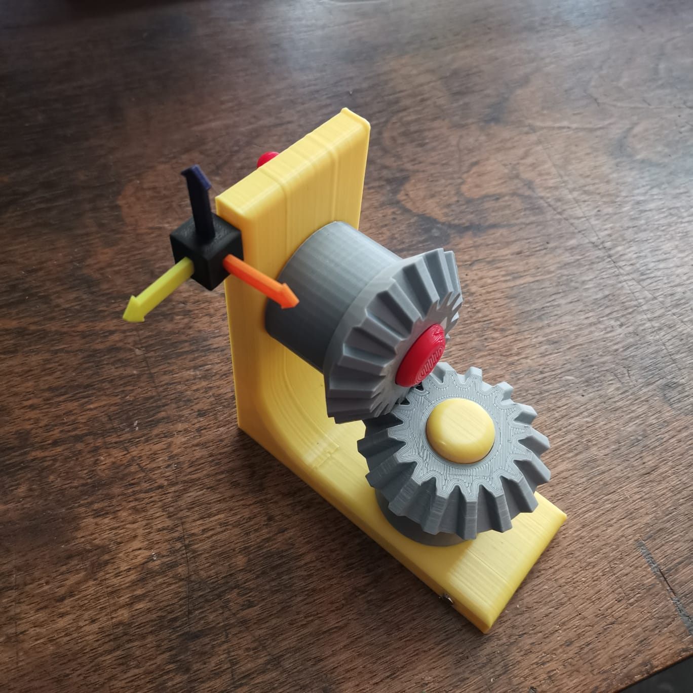 didactic model of bevel gears with explanation of forces by
