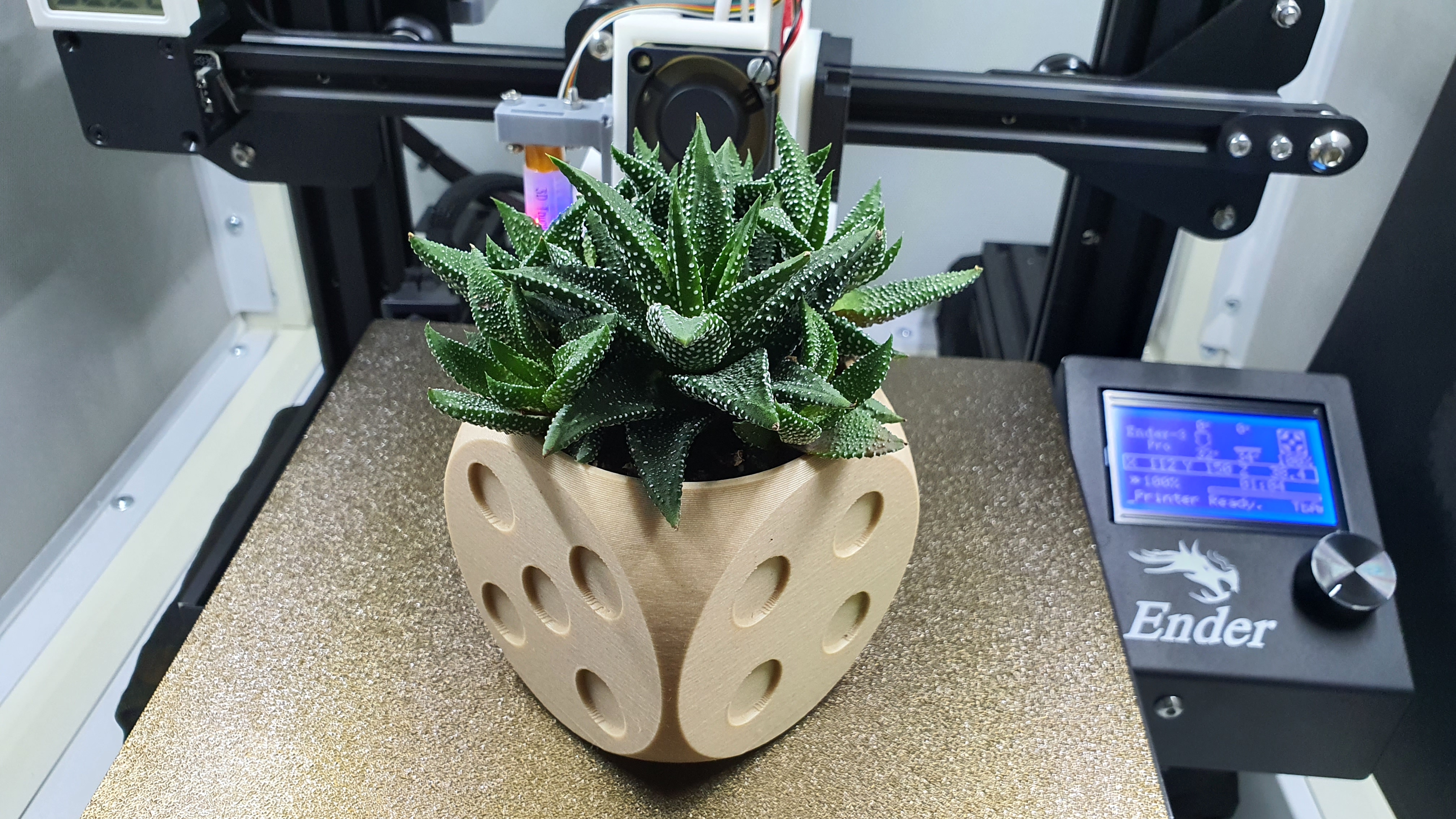 Dice Pot