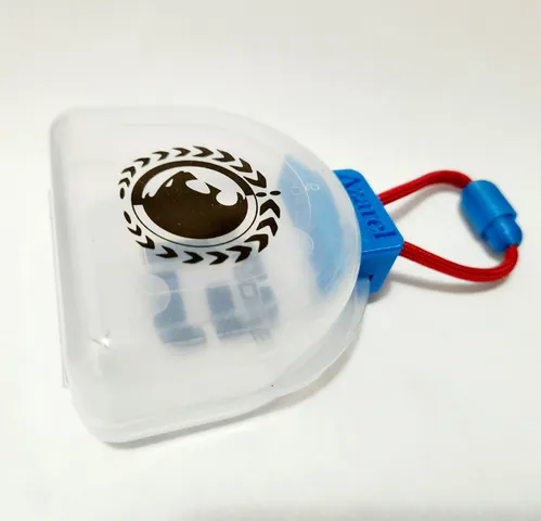 Mouthguard case holder with magnets