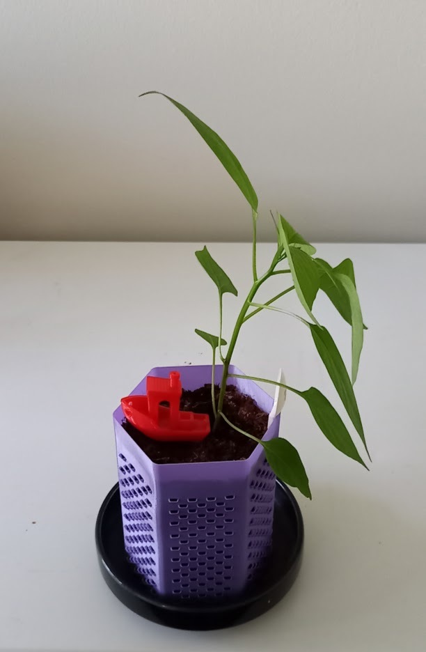 HexAirPot v1 - Vase mode hexagonal air pruning pot