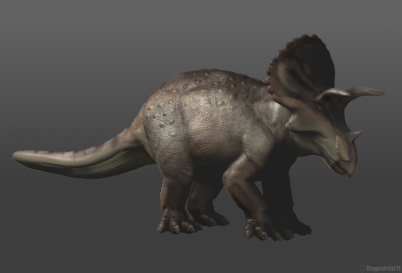 Triceratops Model