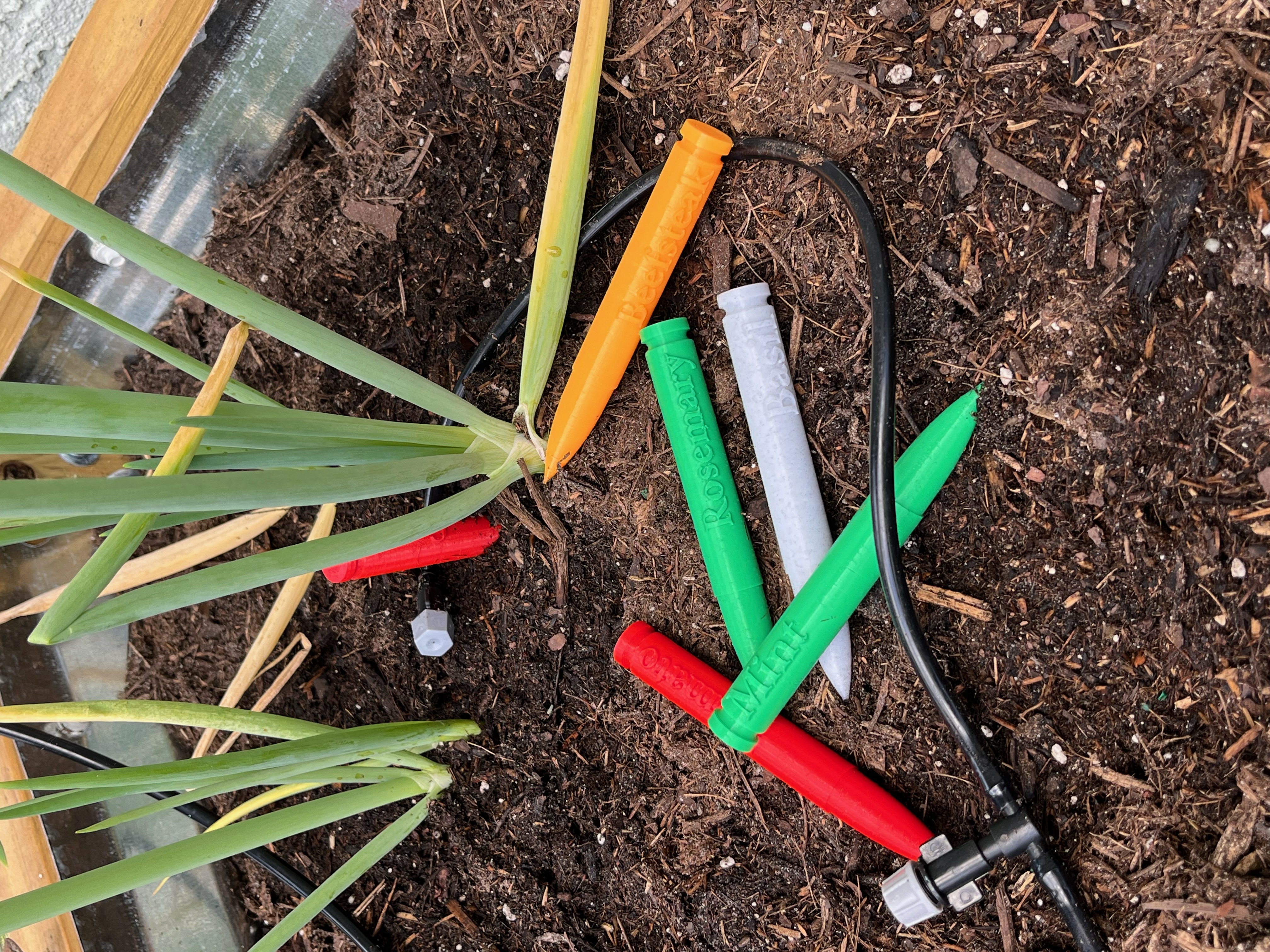 Herb Garden Plant Marker Bullets