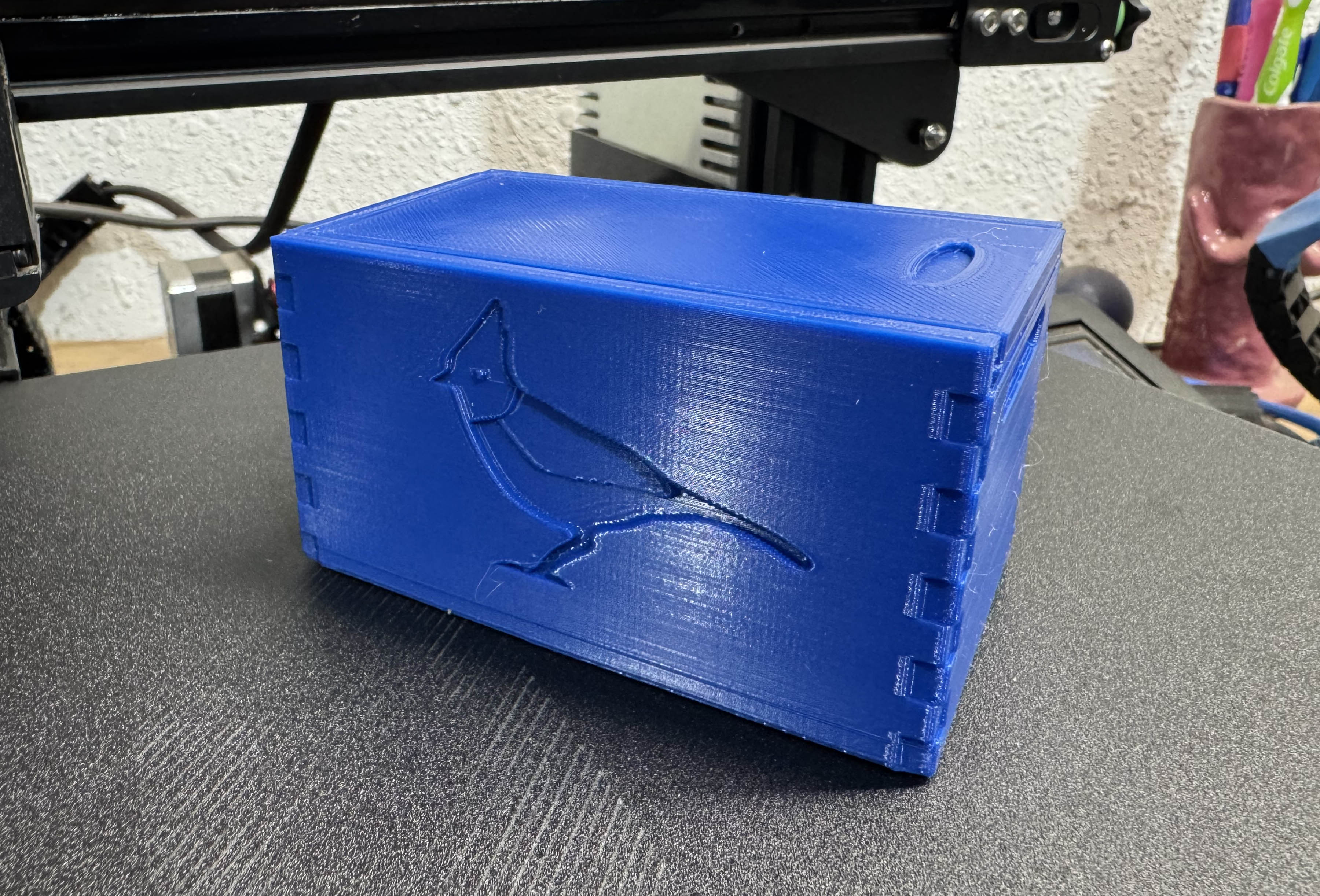 Steller’s Jay Sliding Top Crate