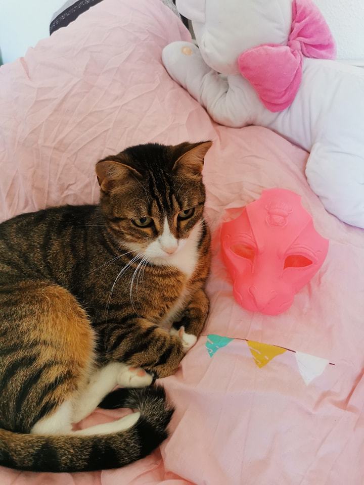 Miniatura 2 do modelo 3D Cat Mask
