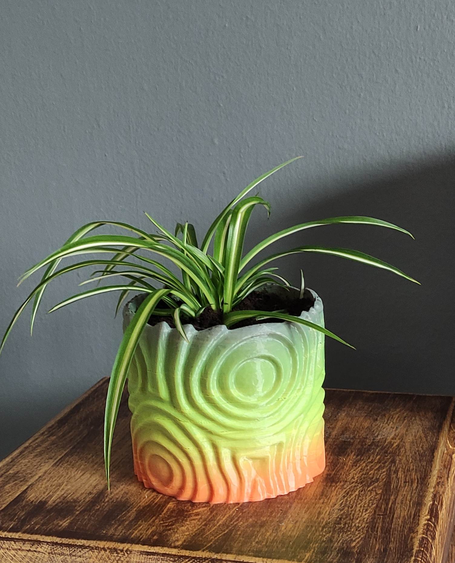 Round design planter
