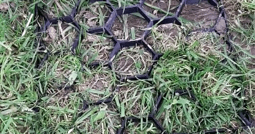GRASS REINFORCEMENT MESH (GEOGRID) FOR ROBOTIC MOWERS by Po3mah ...