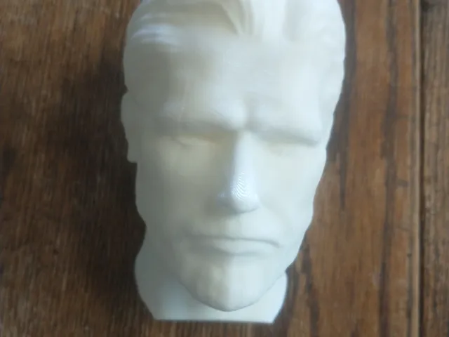 Male Bust