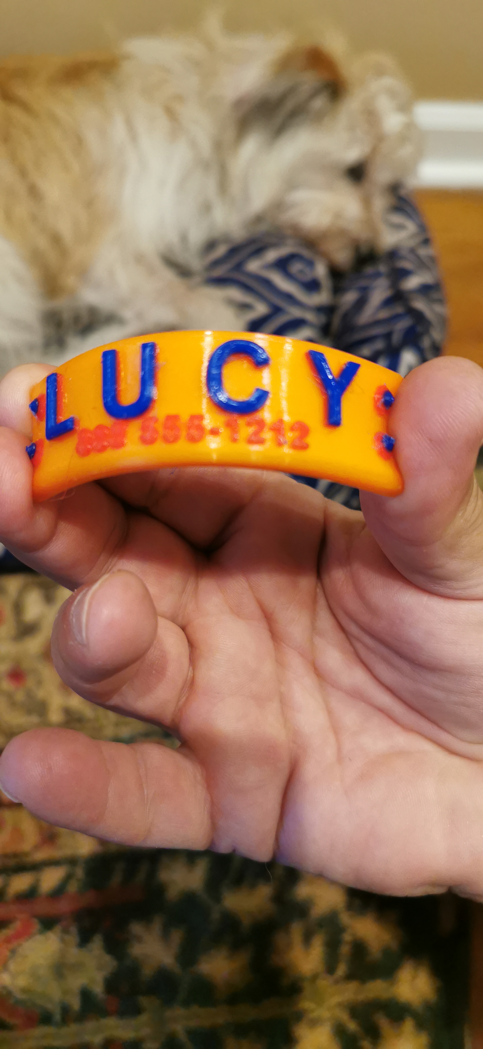 Fashion Pet Name Band with QR Code. Attaches to pet's collar. by