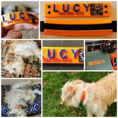 Fashion Pet Name Band with QR Code.  Attaches to pet's collar.