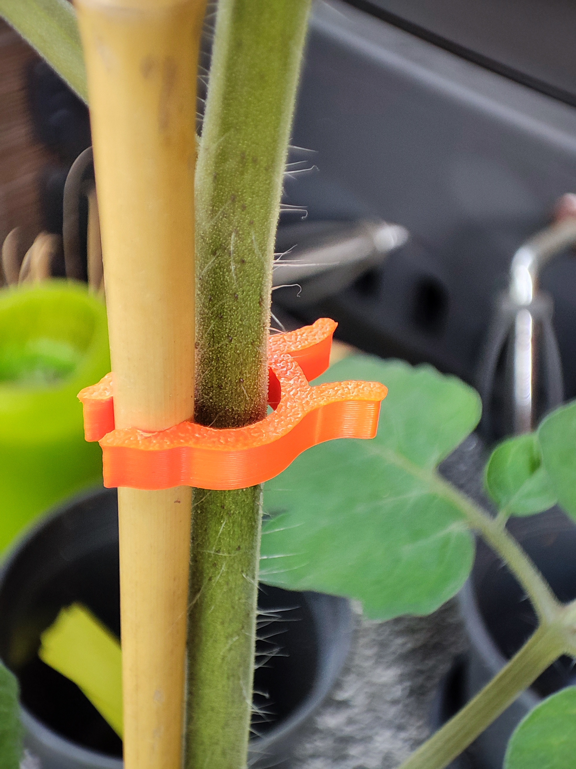 Plant Clip (small and big)