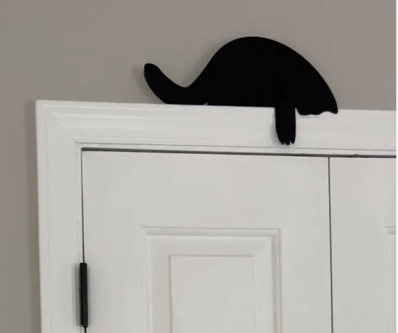 Playful cat with moving paw