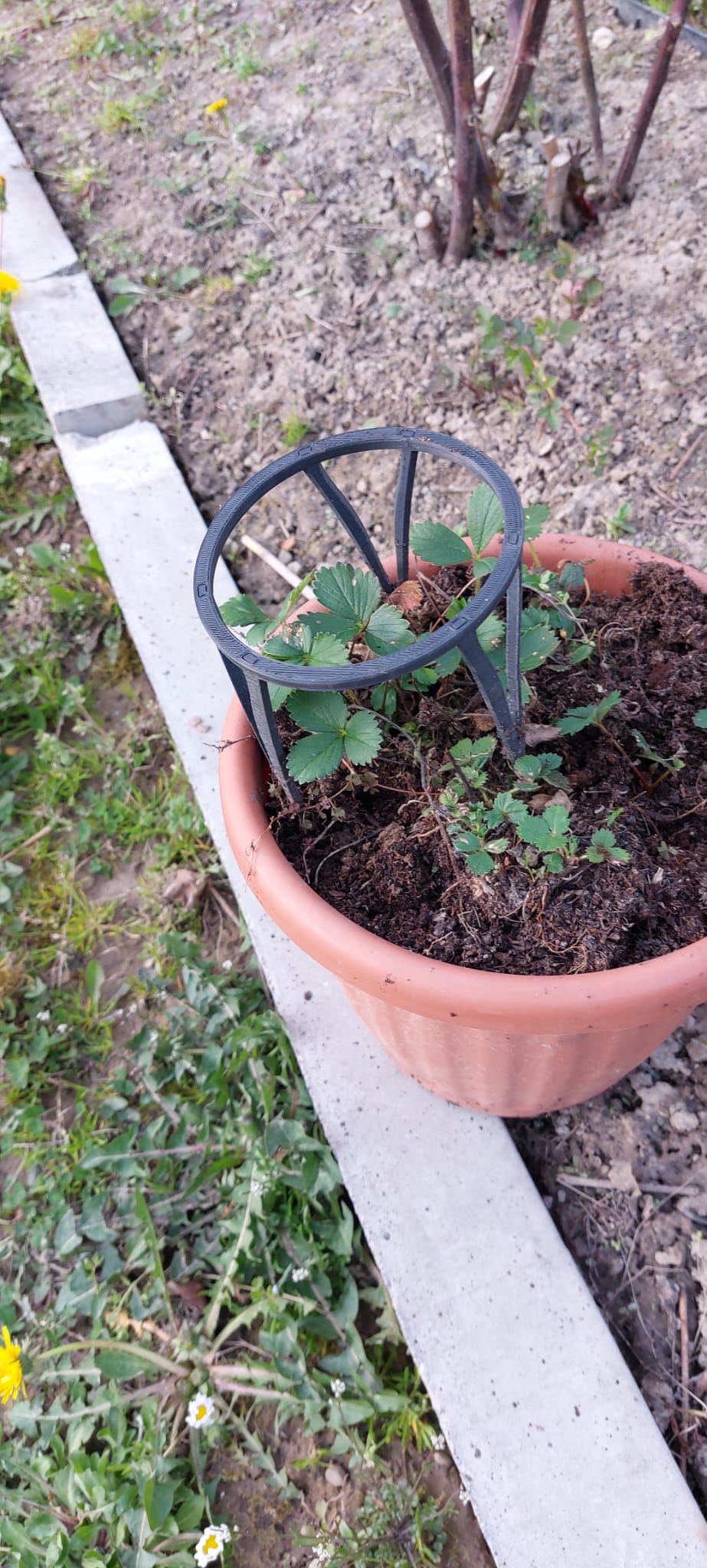 Modular Plant Support