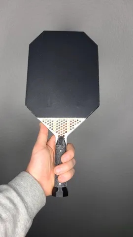 Pickleball Paddle v2.0