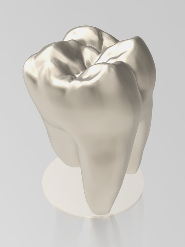 Miniatura 3 do modelo 3D Tooth Molar study Model