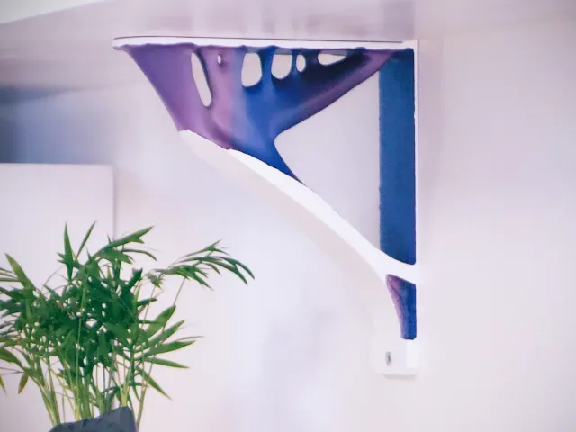 Topology optimized shelf bracket - holds over 80kg each