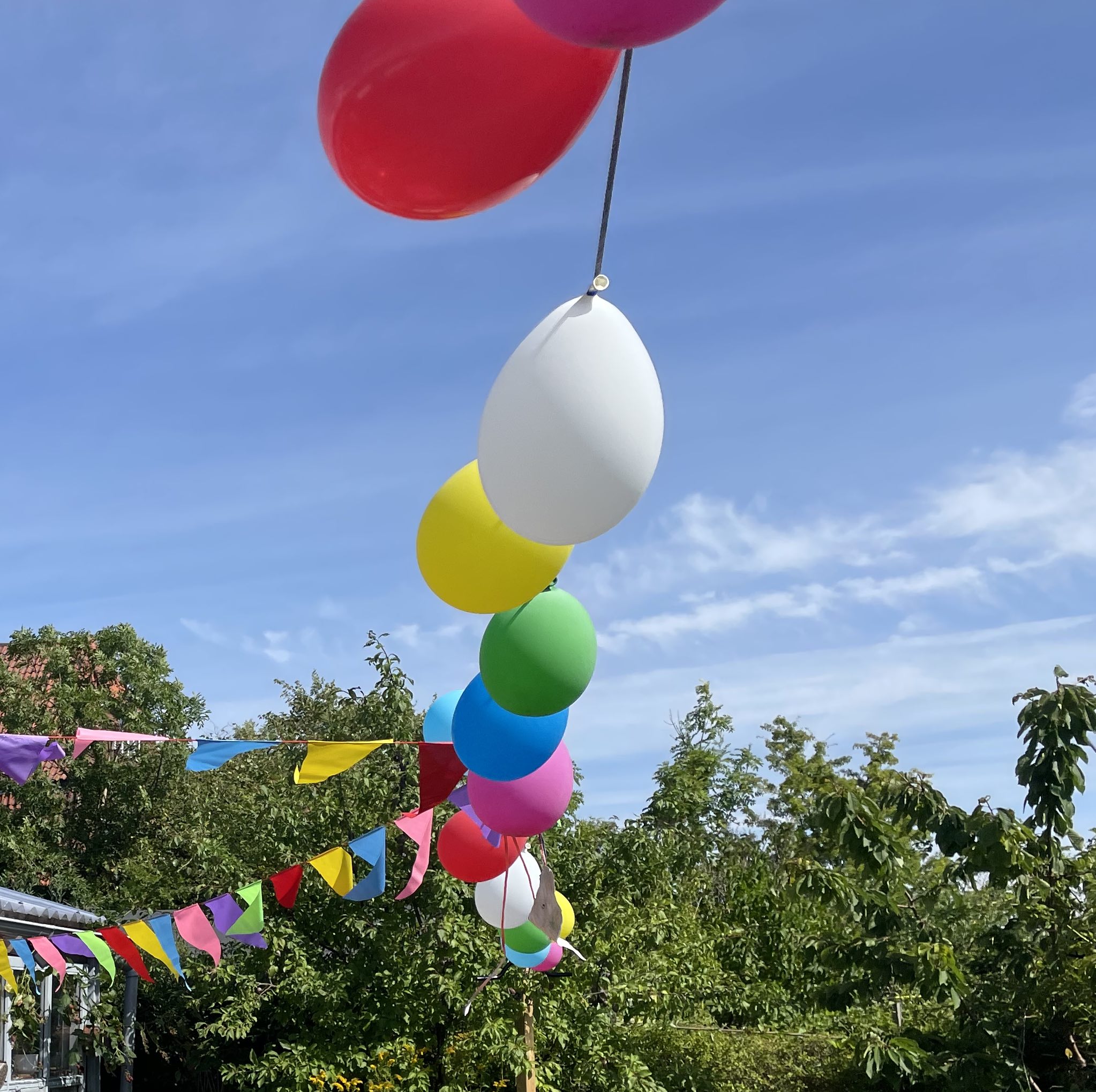 Hanging Balloon clip