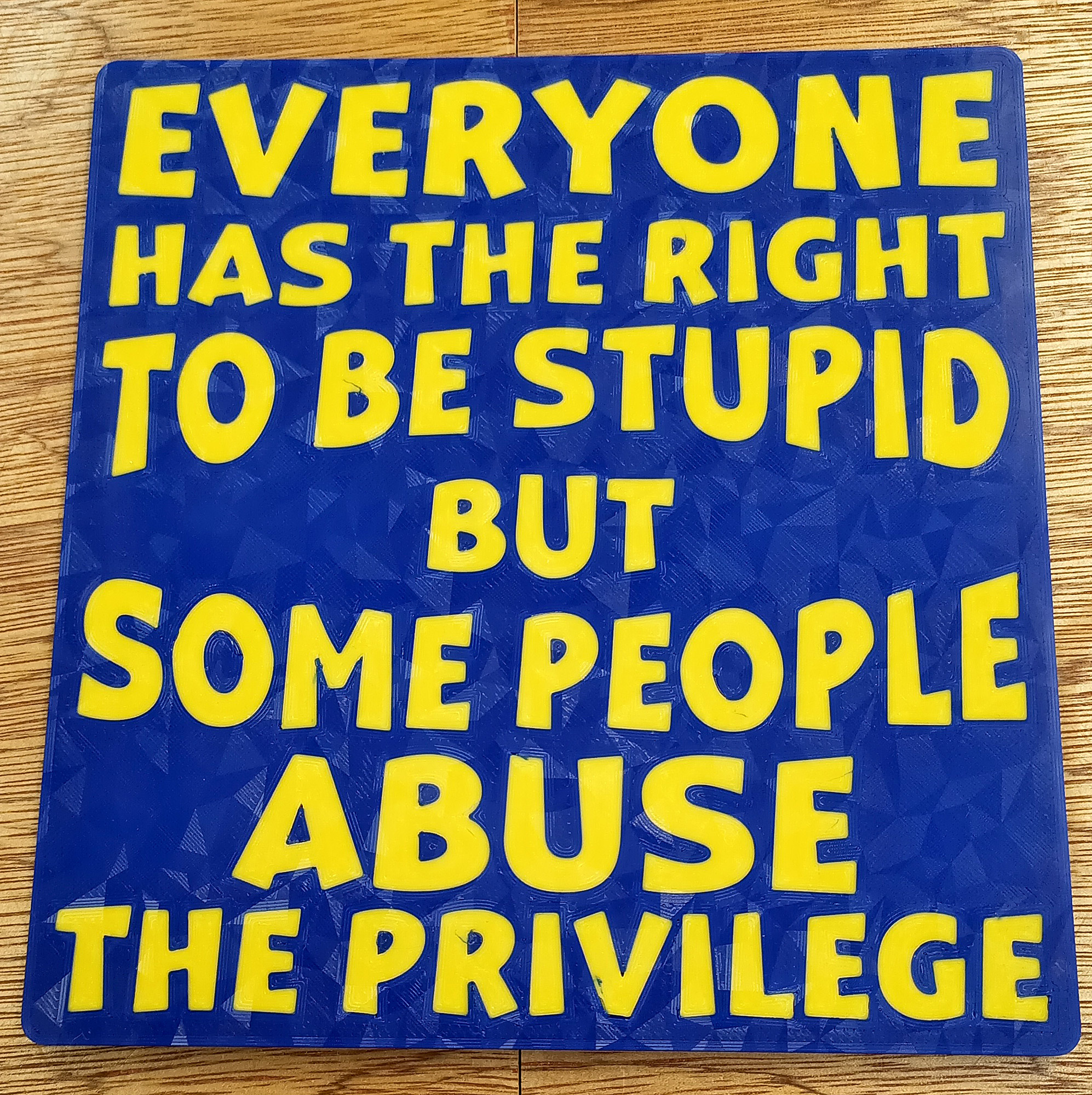 Funny Sign - Everyone has the right to be stupid
