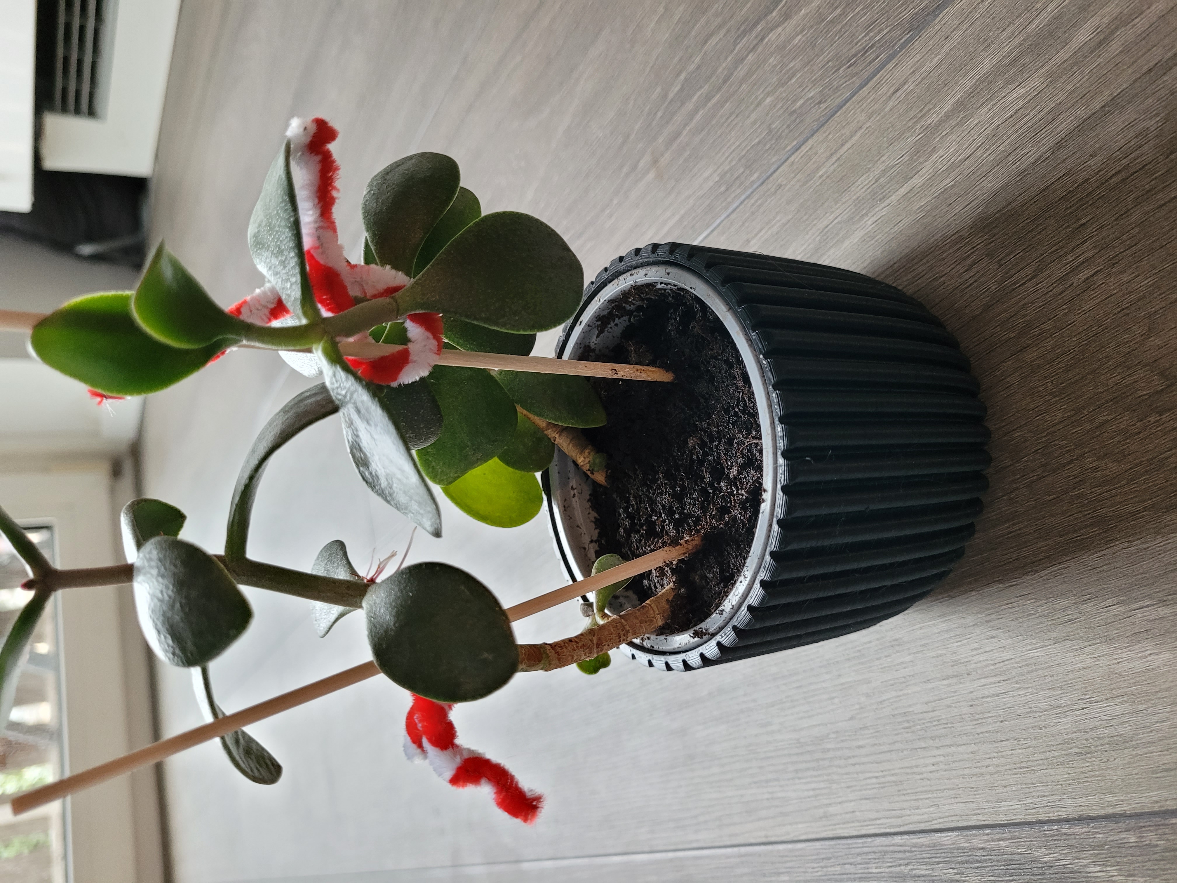 Planter 9cm