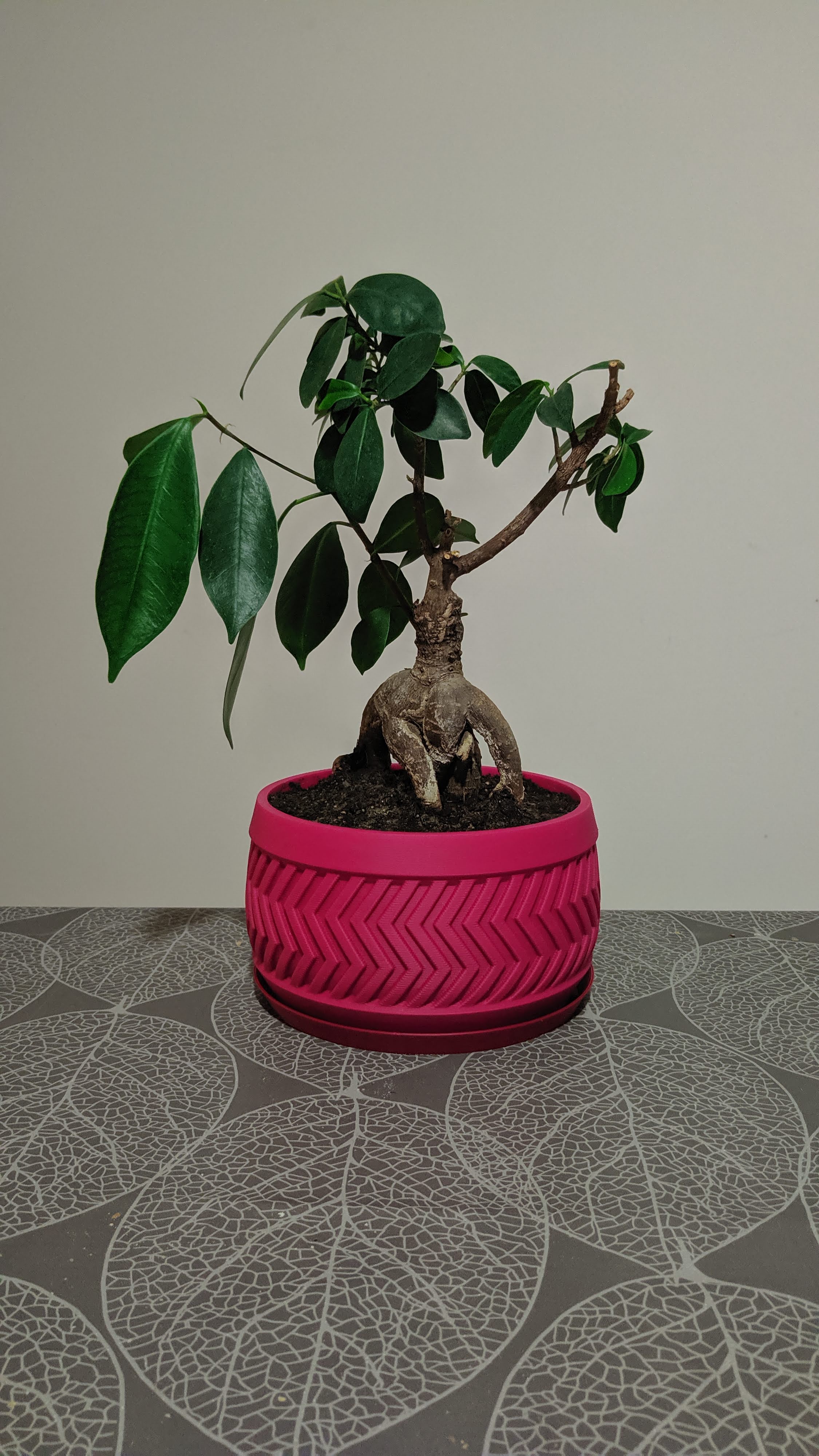 Planter pot