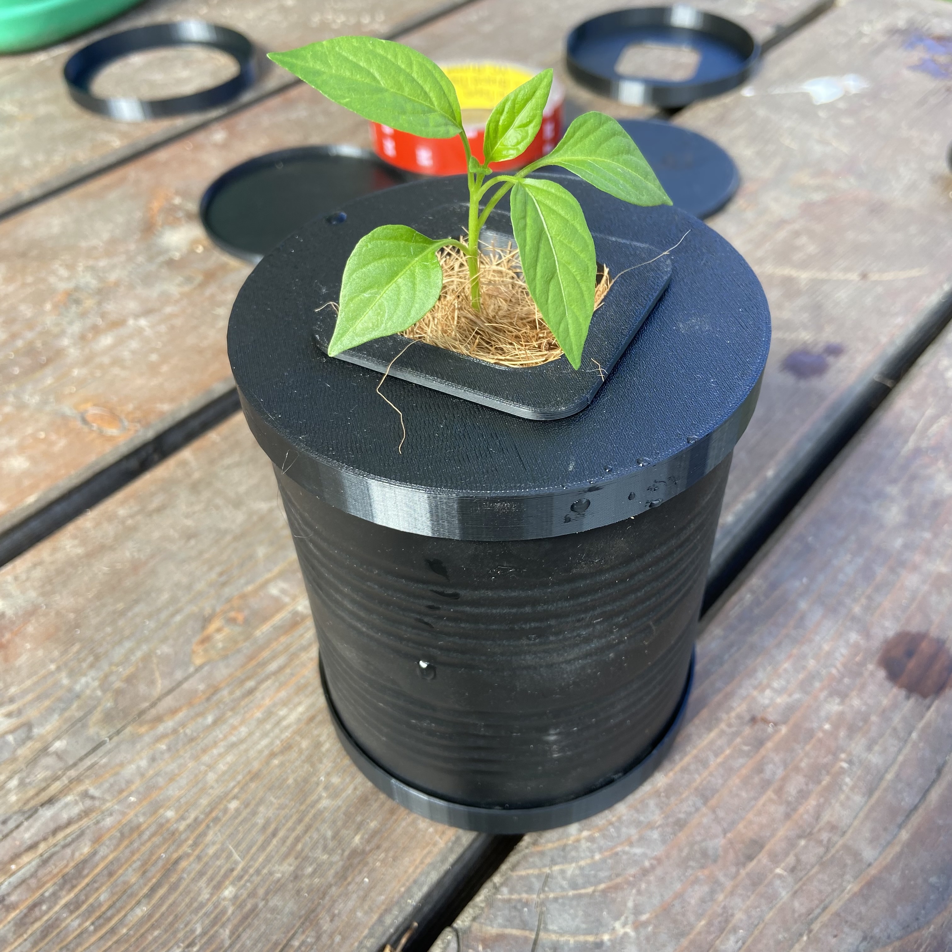 Simple hydroponic system