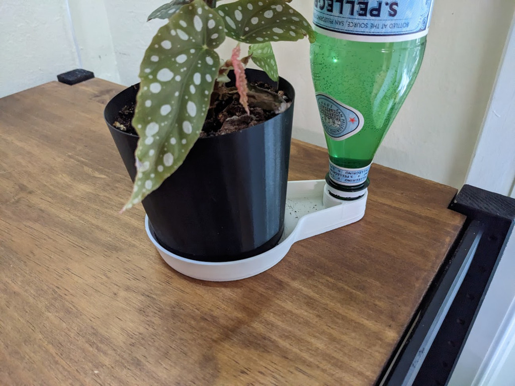 Self-Watering Plant Dish
