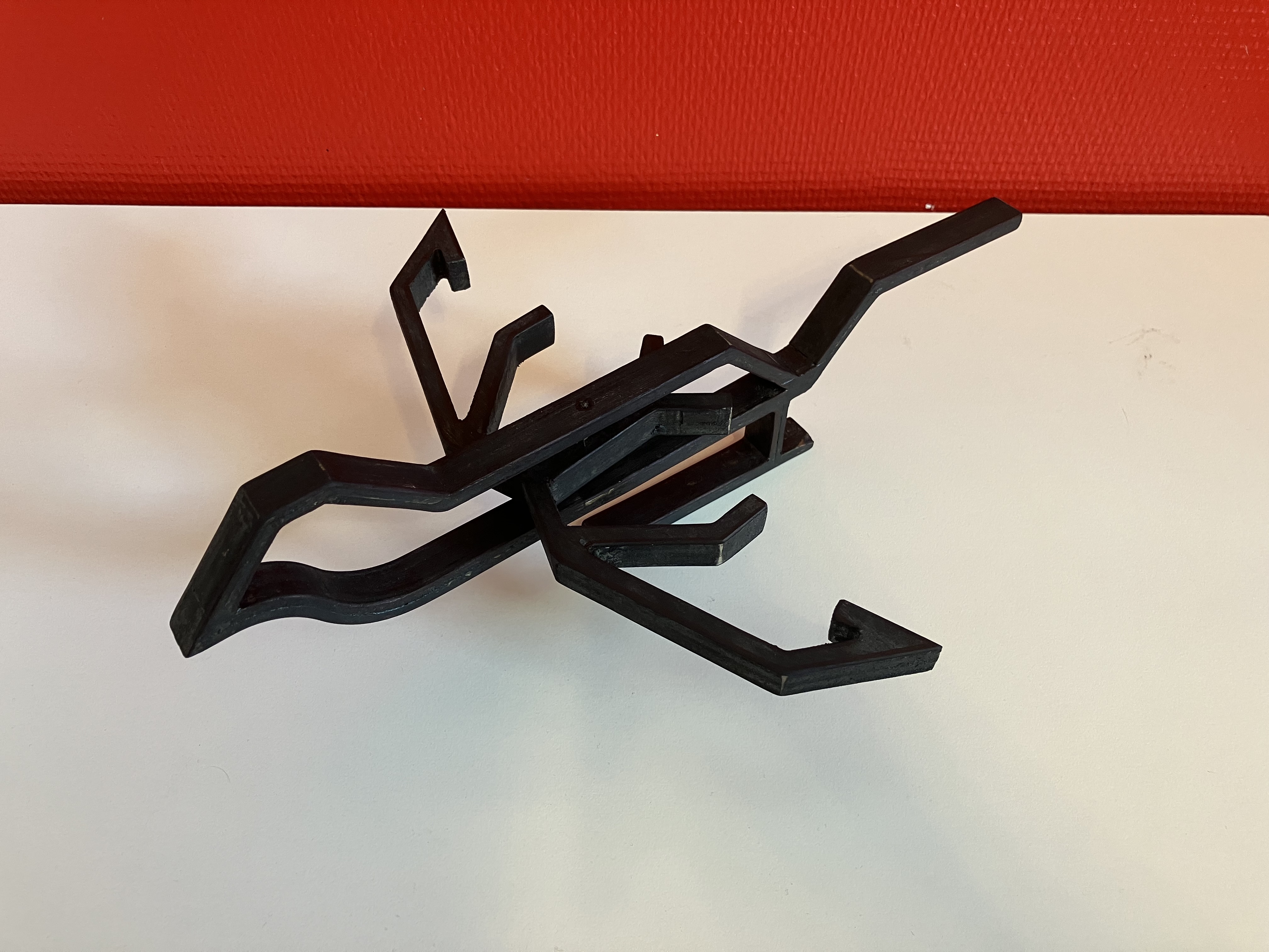 Ply-bird with levitating wing