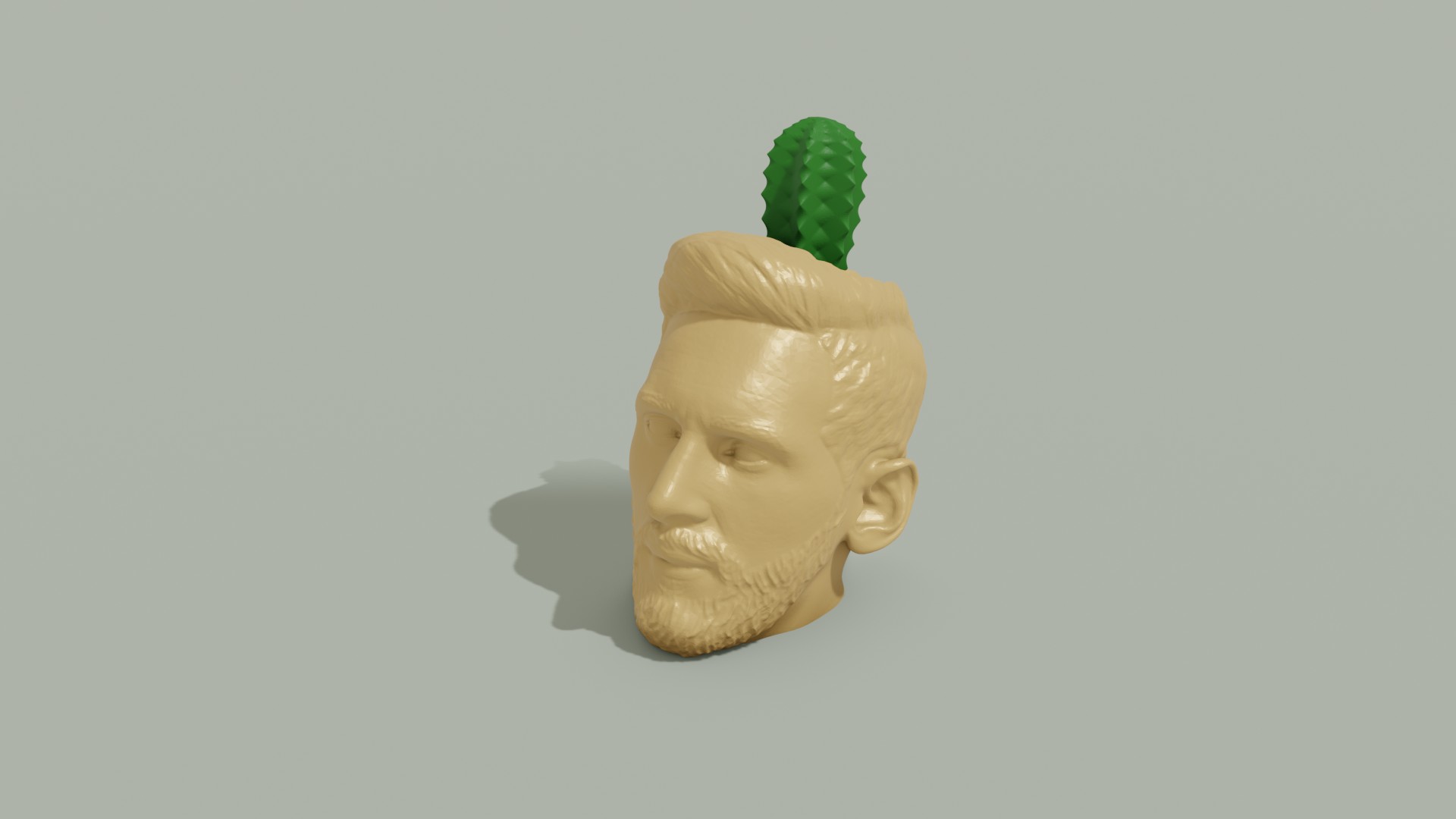 Messi Pot Plant
