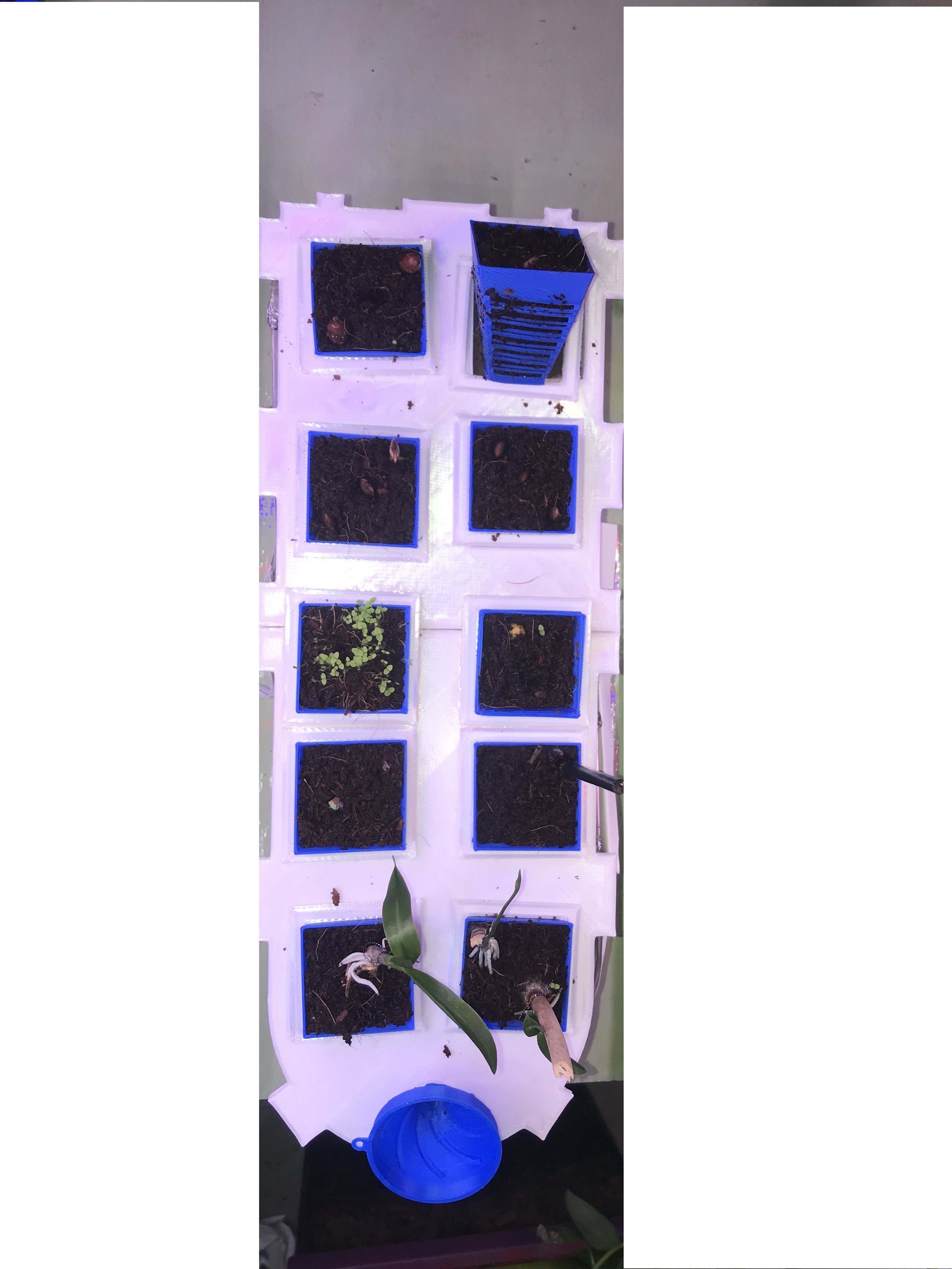Godet for plant growing