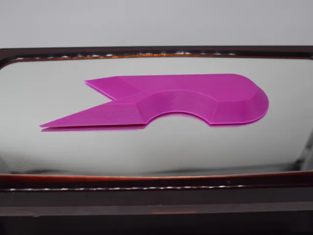 Bed Adhesion Warp Test