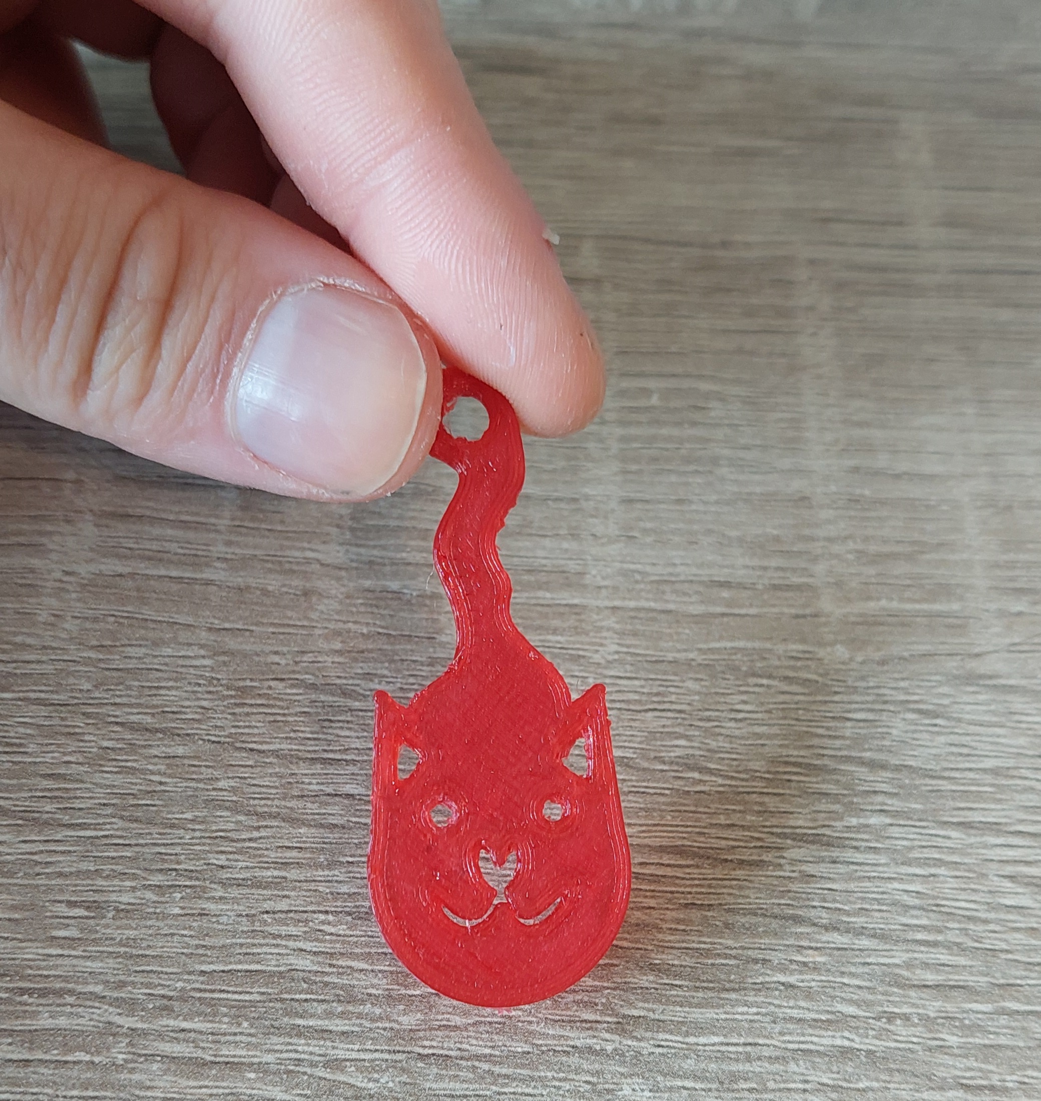 Shopping cart unlocker Cat Einkaufschip Katze by Rouben Download free STL model