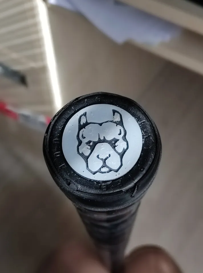 Pitbulls Kolín flooraball cap by Martin Pauš | Download free STL model ...