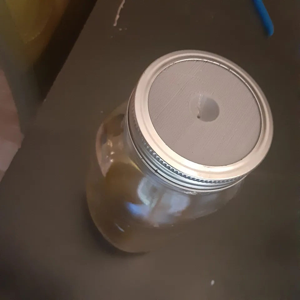 Fruit Fly Trap by B&amp;B TECH | Download free STL model | Printables.com