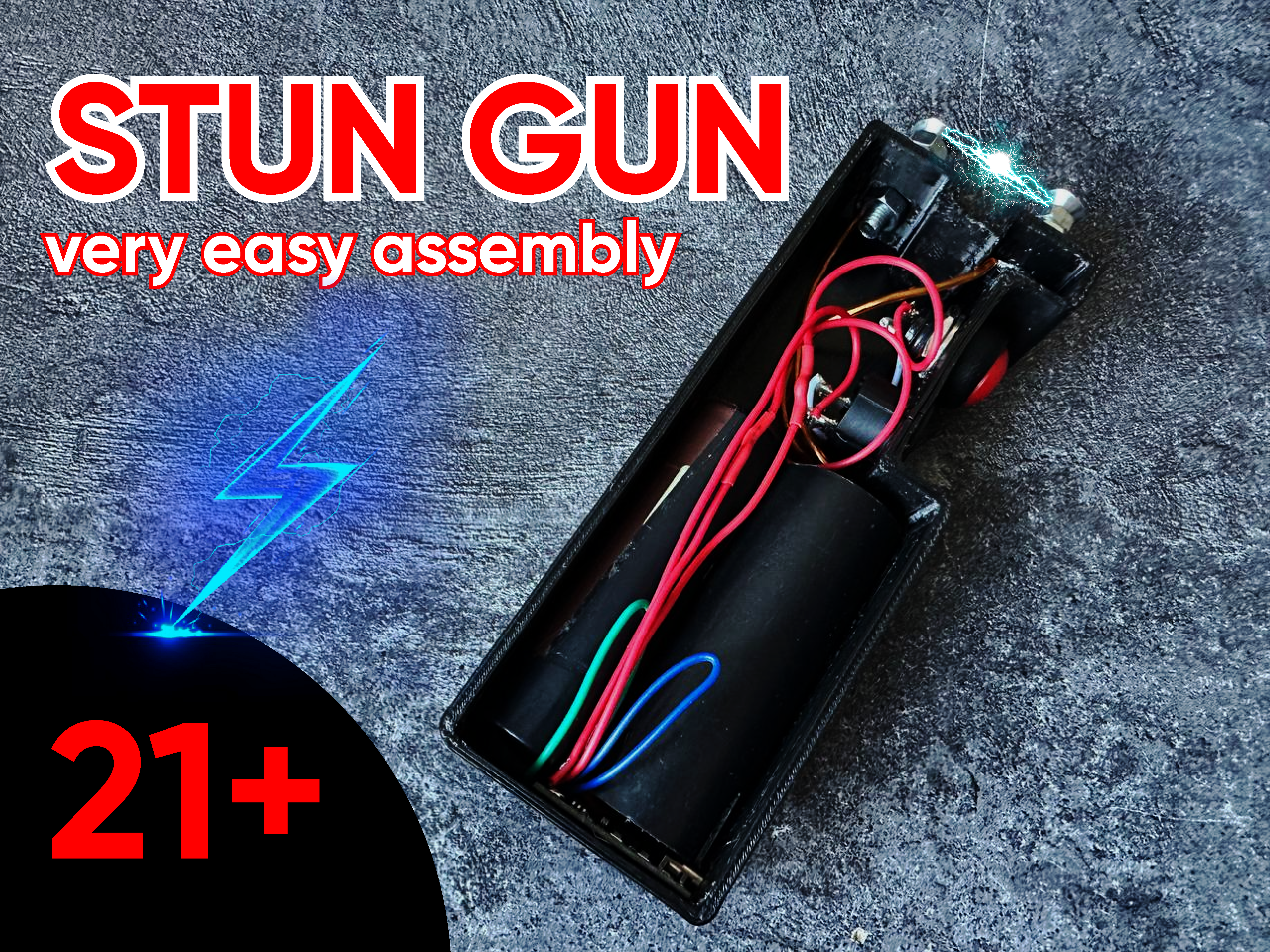 Compact Stun Gun