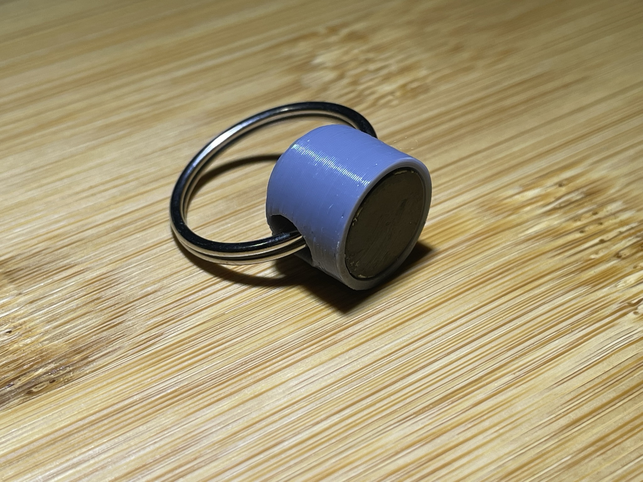 Quick Release Keychain by BotanicalWorm99 Download free STL