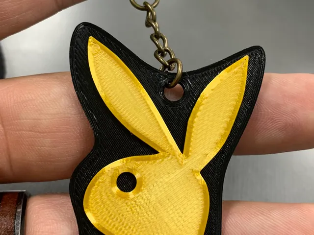 Playboy Logo
