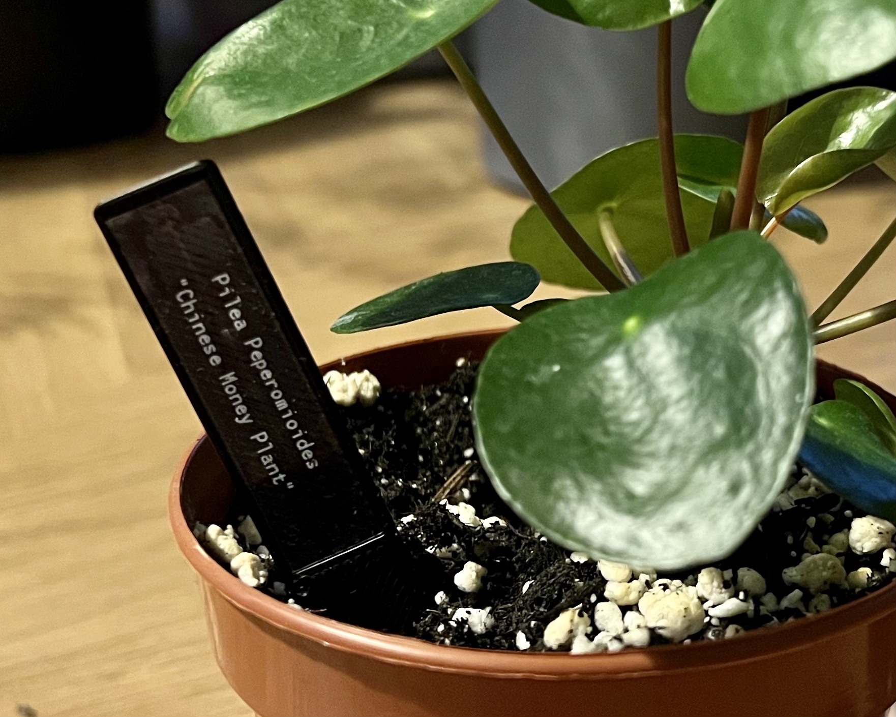 Plant Label Stake by mwclx Download free STL model