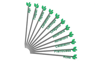 +250 etiquetas / carteles para plantas, huerto... Español (+250 labels for plants, gardening... Spanish)