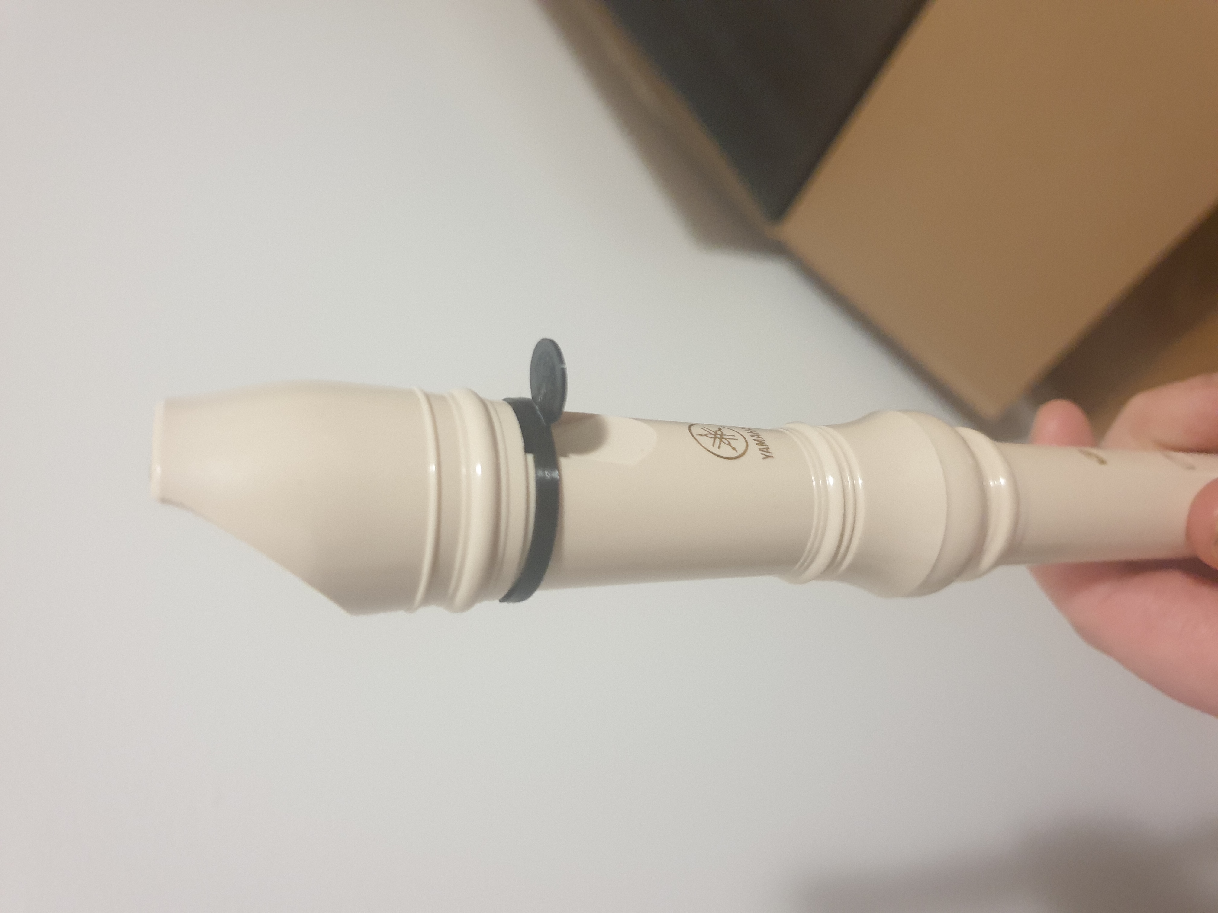 Recorder Mute