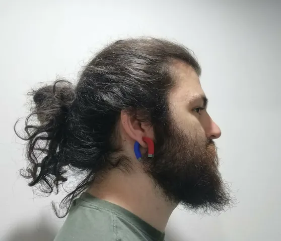 Magnetic earrings in the shape of a magnet