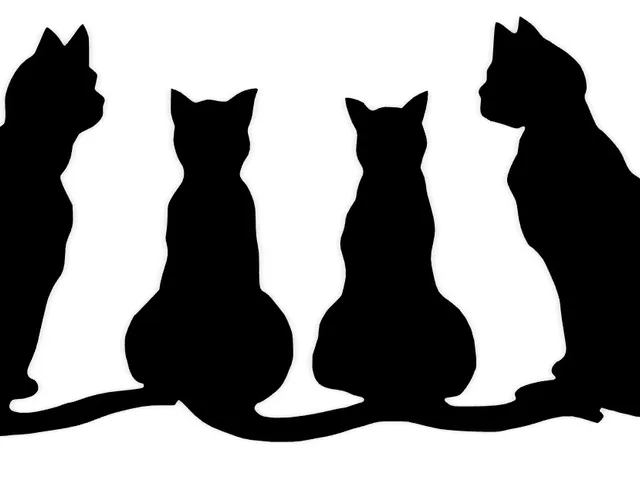 Cats wallart