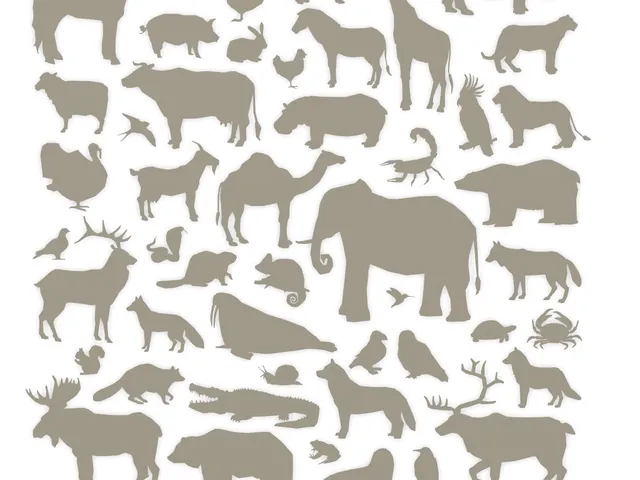 Animals wallart 46 models