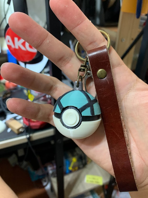 poke ball (Net ball)