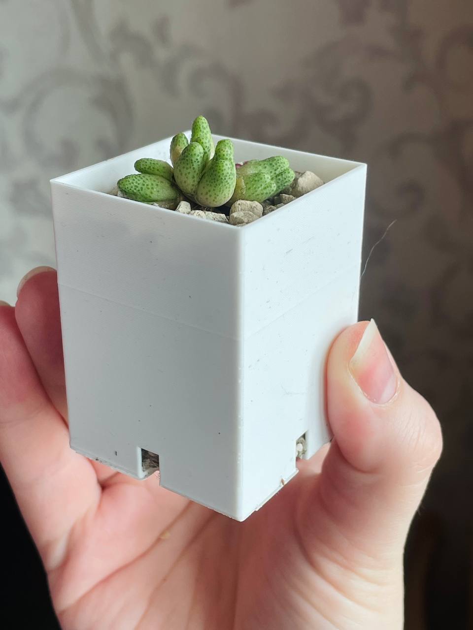 Small square pot with openings for "breathing"