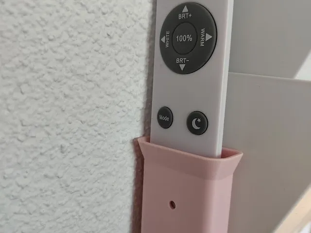 Remote controller holder