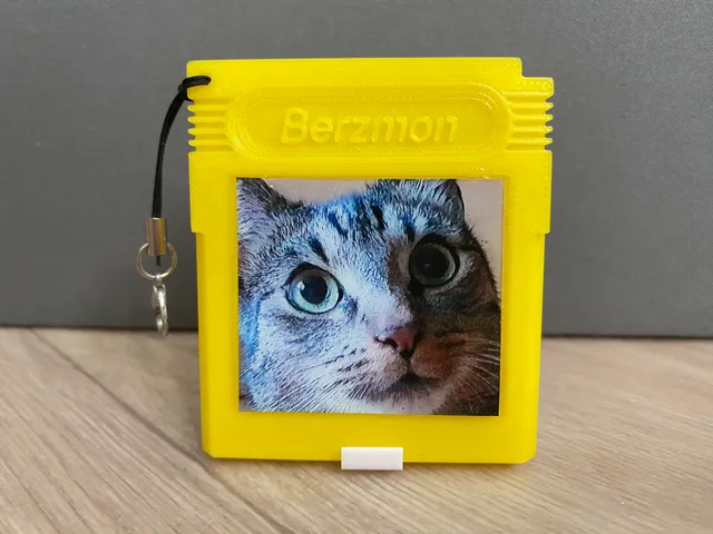 Cartridge Picture Keychain