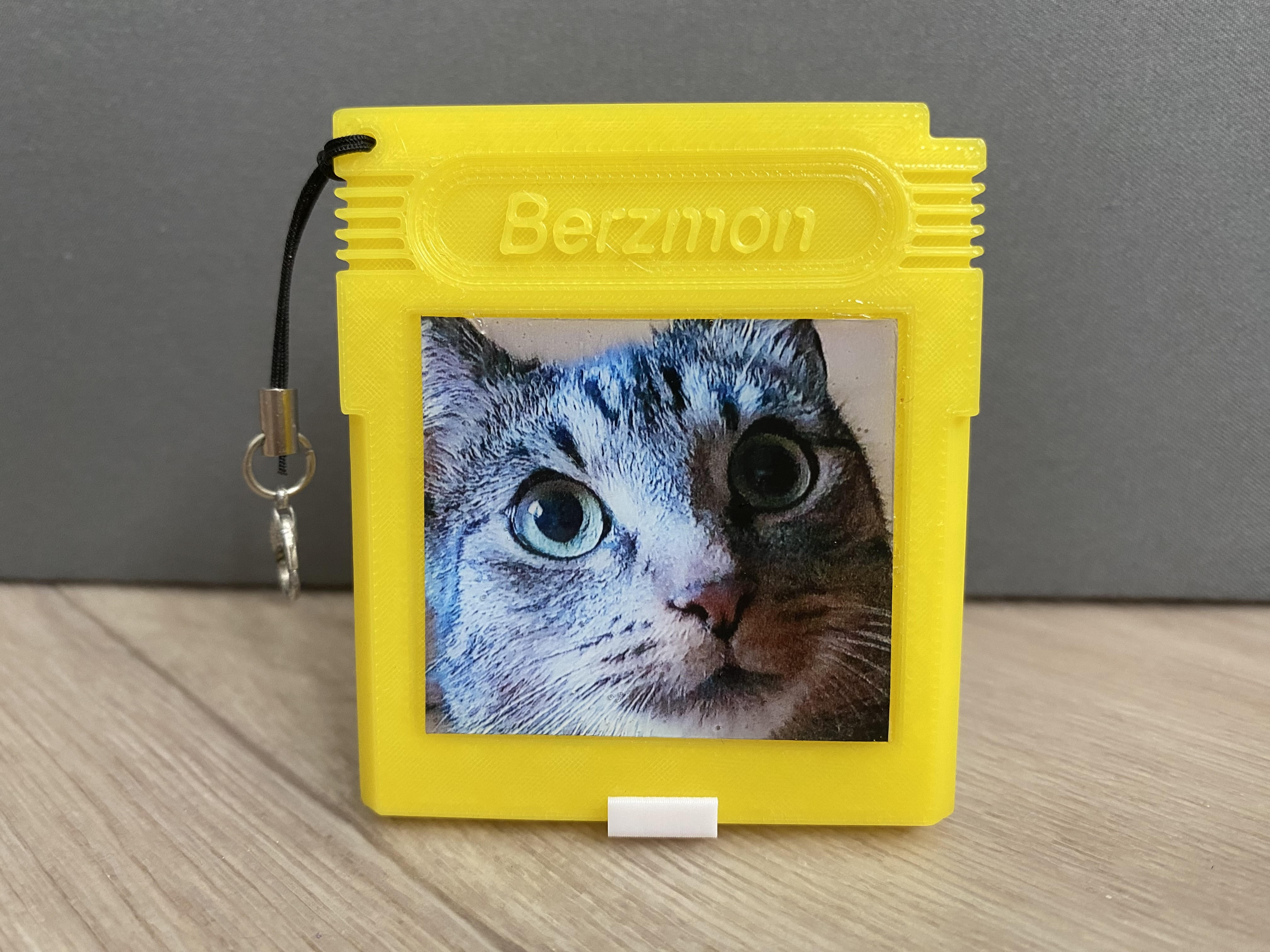Cartridge Picture Keychain