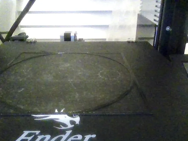 Leveling and Test Print