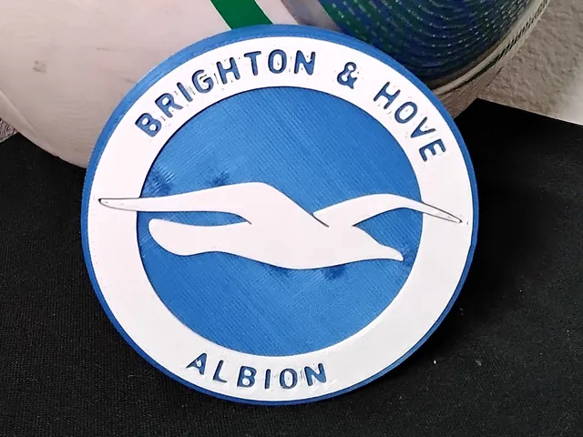 Concave Brighton & Hove Albion coaster or plaque